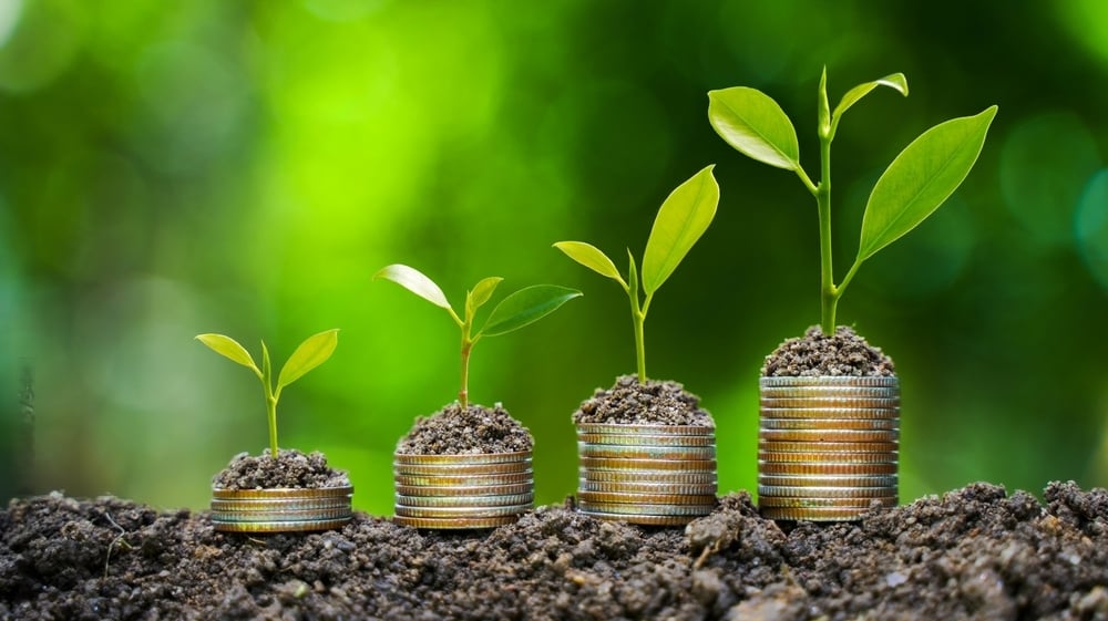 Tarifas de Pepeenergy: precios actualizados 2024