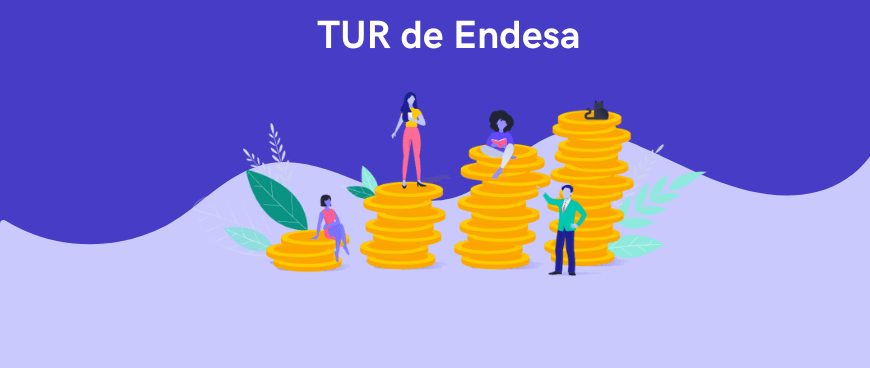 TUR Endesa: qué es, cuánto cuesta y condiciones