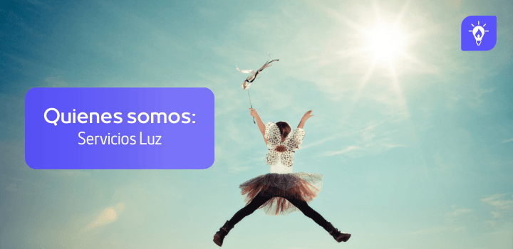 Quienes Somos: Servicios Luz