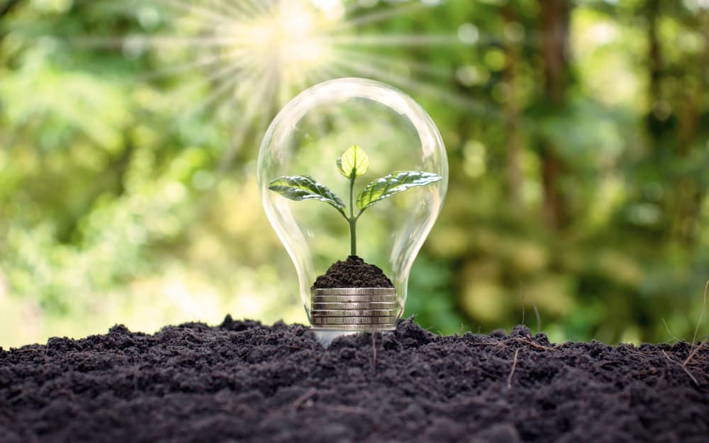 Opiniones de la tarifa Única de Endesa