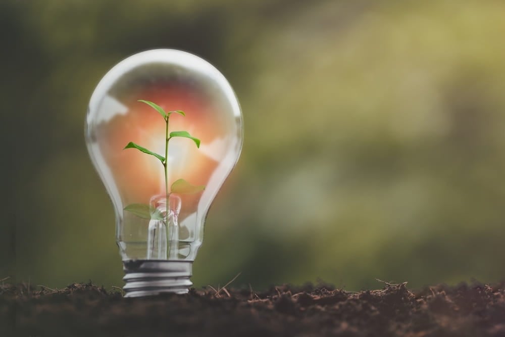 Wombbat: nuevas tarifas de luz y teléfono