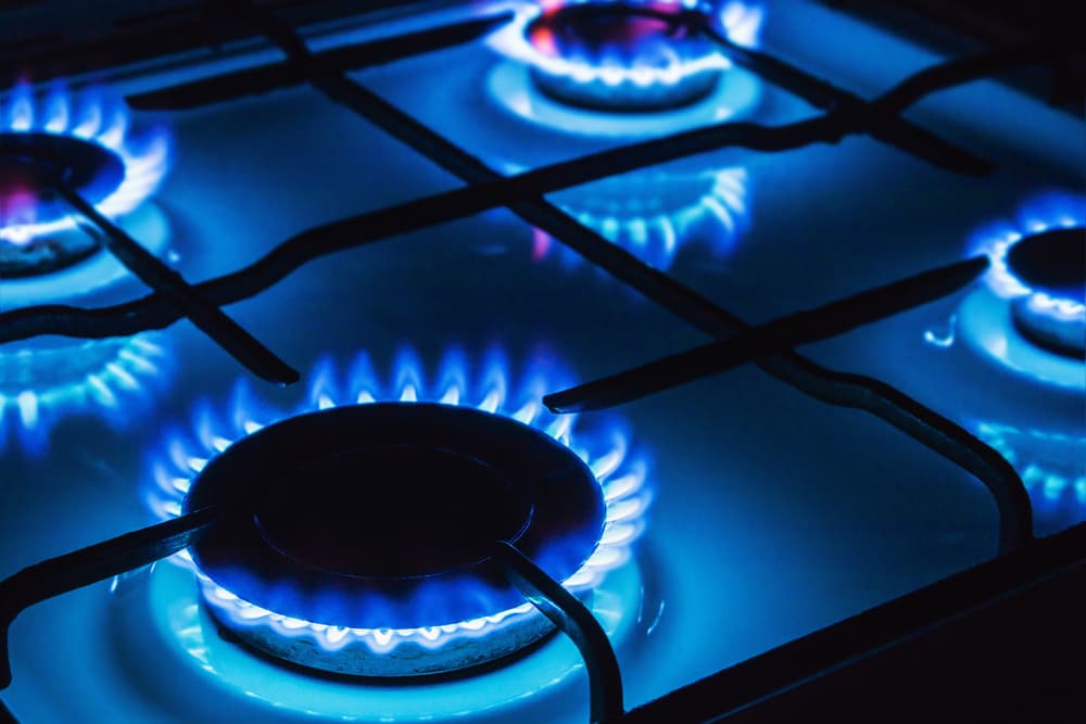dar de alta el gas Endesa ( dar de alta el gas Endesa (